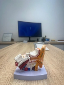 Photo - Osmose Audition (94600)